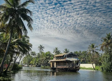 dileep-m-rv5ddI1WyCw-unsplash.webp